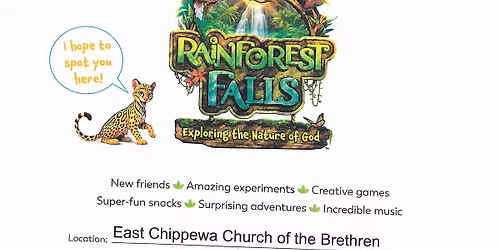 Rainforest Falls Vacation Bible School