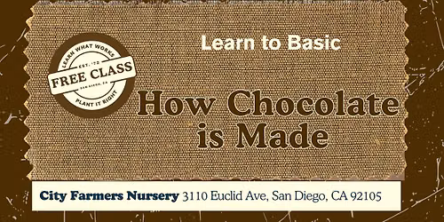 How Chocolate is Made