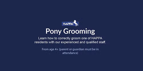 Pony Grooming Experience