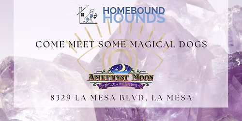 Amethyst Moon Adoption Event