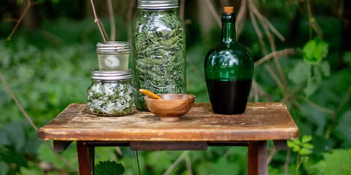 Herbalism & Tincture Making at Mills River Brewing Co