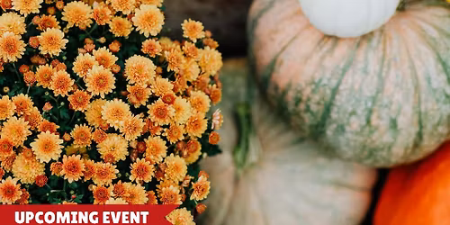 Pumpkin, Mums & More! 10/11