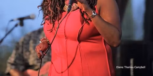 Live Music from Sandra Bassett