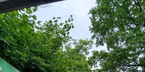 Langwasser Guides - Die Geschichte Langwassers in der Streetart