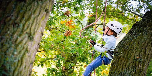 Big Tree Climbing
