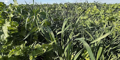 Conservation Focus Workshop & PARP