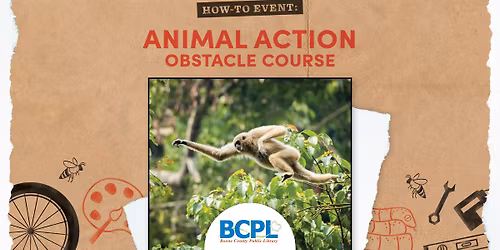 How-To: Animal Action Obstacle Course \u2013 family