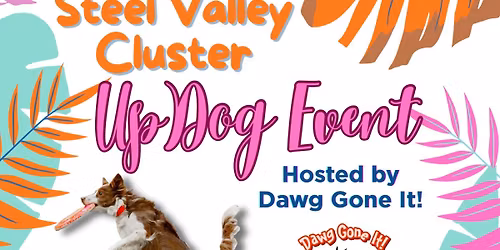 DGI\u2019s UpDog at the Steel Valley Cluster