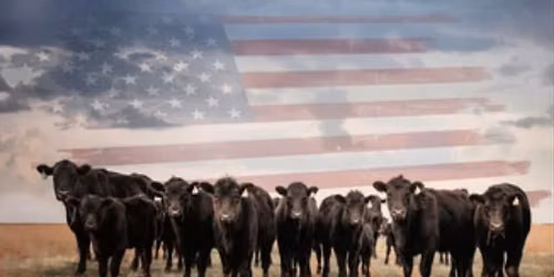 4th Annual Lorson Angus