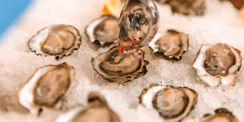 Harbour Public House x The Little Pearl Oyster Bar Series