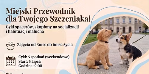 Miejski Przedwodnik dla Twojego Szczeniaka!