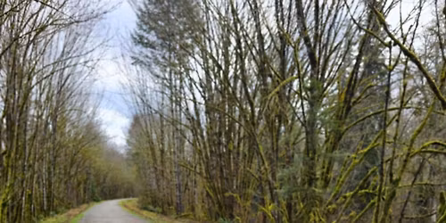 Landsburg\/Cedar River Fun Run\/ IP Kick Off