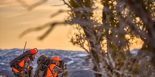 November Loyalty Night