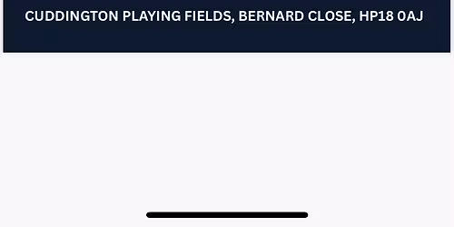 Cuddington Fireworks Party