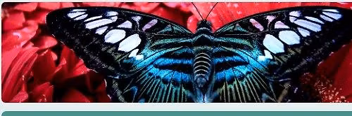 May 2026 "Better Together" Roundtable