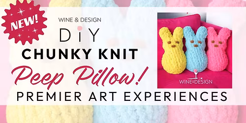 NEW! Chunky Knit PEEP PILLOW Workshop!