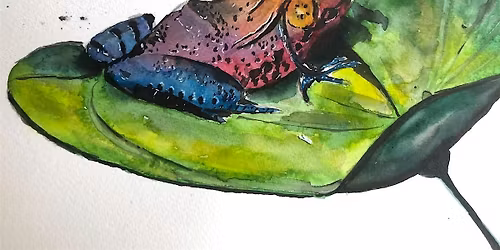 Mixed media: paint animal with watercolour and ink