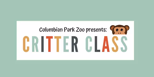 Critter Class: Playful Penguins