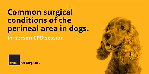 Common Surgical Conditions of the Perineal Area in Dogs