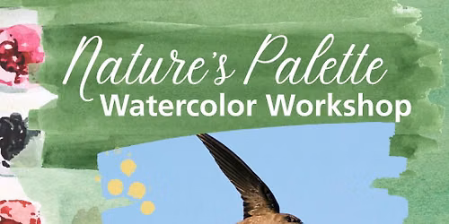 Nature\u2019s Palette Watercolor Workshop: Chimney swift