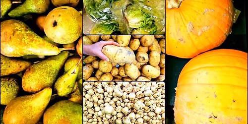 Healthy lunch collection service - Kitchen Roots Community