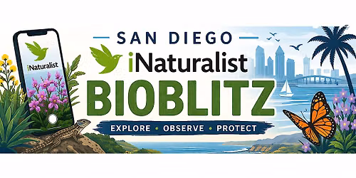 San Diego September iNaturalist Bioblitz