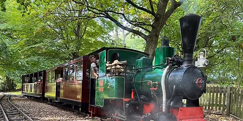 Steam Locomotive Driving Course