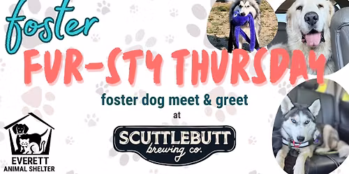 Foster Fur-sty Thursdays