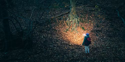 Nature After Dinner: Full Moon Night Hike