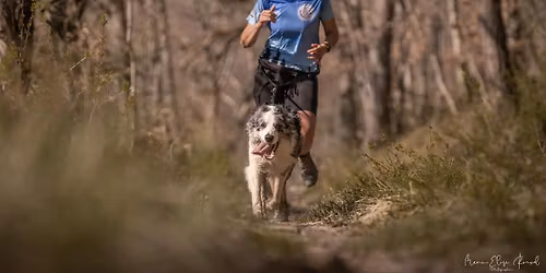 Championnat R\u00e9gional FFSLC R\u00e9gion 6 \ud83c\udfc6