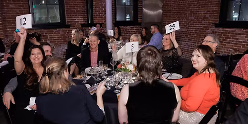 Show Up & Shine for Kids Gala - Volunteer Sign-Up