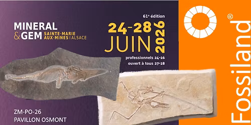 Mineral&Gem Sainte-Marie plus Fossil Show