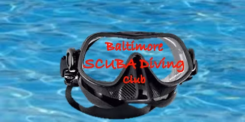 Dive Club Happy Hour