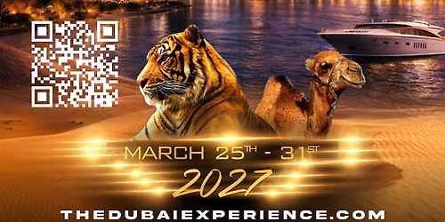 The Dubai Experience 2027: 9 Years of Vibes, Luxury & Legendary Nights