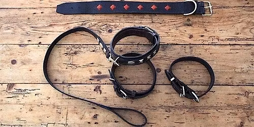 Traditional Leatherwork: Dog Collar or Belt with Alison Berton