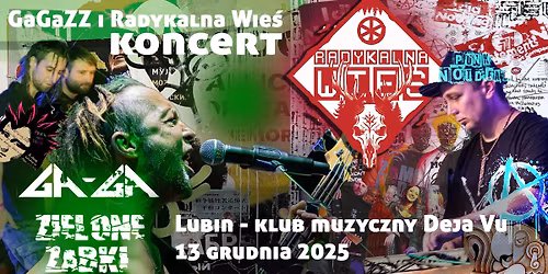 Koncert Ga-Ga Zielone Żabki i Radykalna Wieś w Lubinie