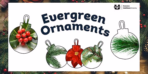 Evergreen Ornaments
