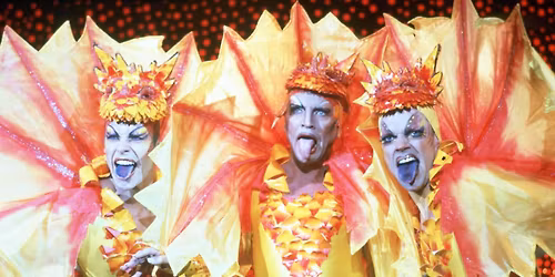 PRISCILLA - \u00d6KNENS DROTTNING - Terence Stamp p\u00e5 Bio Roy