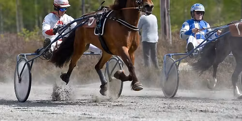 Lokalkj\u00f8ring i Setesdal 1. mai 2026