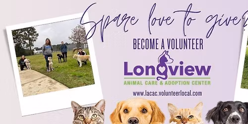 Volunteer Orientation