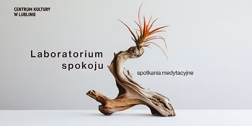 Laboratorium Spokoju \u2013 warsztaty medytacyjne