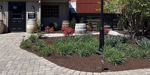 Katelyn Christine Performs