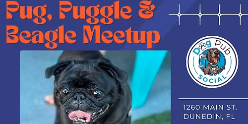 Pugs, Puggles & Beagles Meetup