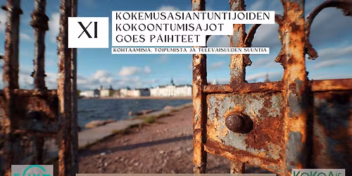 XI Kokemusasiantuntijoiden kokoontumisajot goes p\u00e4ihteet