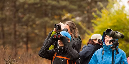 Science Stroll: Fall Migration