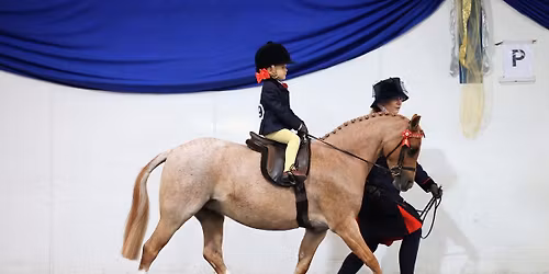 Selston E.C\u2019s Winter Series - New Year Show