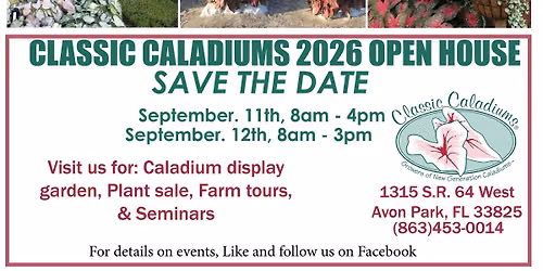 Classic Caladium's Open House