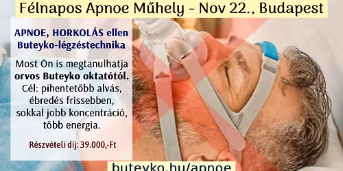 APNOE M\u0171hely \u2013 Nov. 22., Budapest