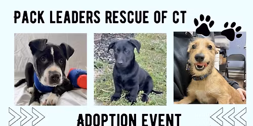 Pack Leaders Rescue Adoption Event
