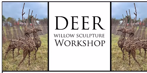 Willow Deer Workshop